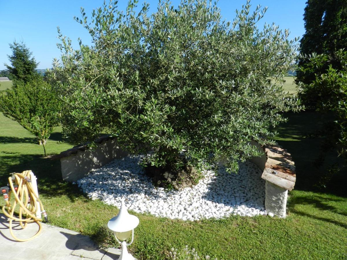 Bed and Breakfast L'Alivu Couches Экстерьер фото